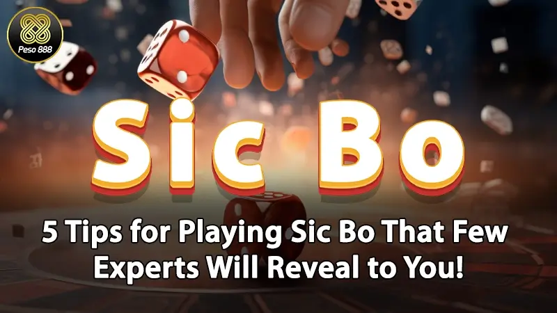 Sic Bo | 5 Tips for Playing Sic Bo That Few Experts Will Reveal to You!